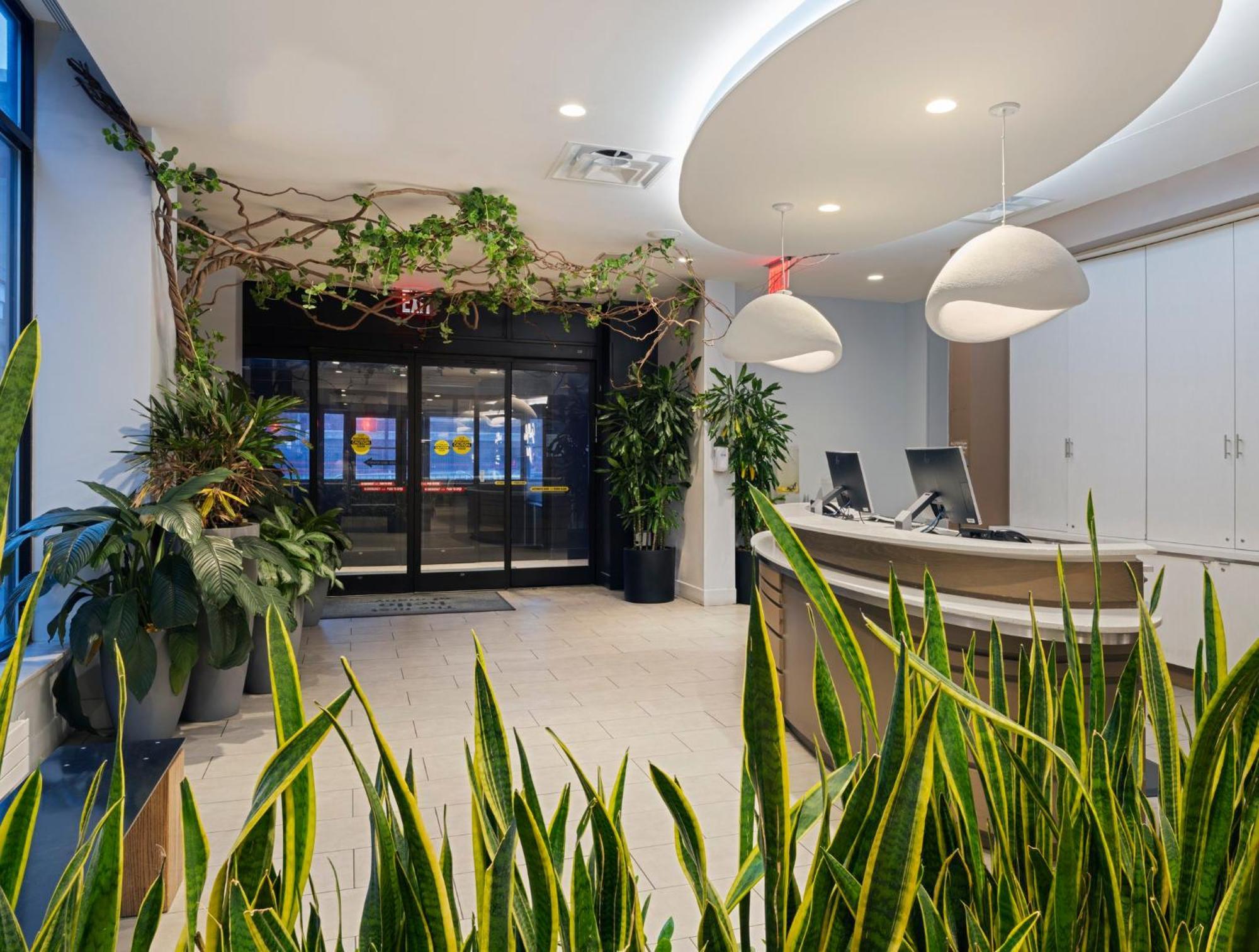 Even Brooklyn By Ihg Nova York